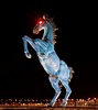 Blue Mustang - Wikipedia