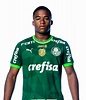 Jogador – Palmeiras