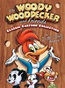 The Woody Woodpecker Show (TV Series) (1957) - FilmAffinity