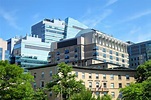 CC | An Inside Look Into Harvard Medical School