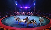 The 2017 UniverSoul Circus is All New and Better Than Ever! | FabEllis