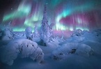 Las mejores fotos de auroras boreales de 2021