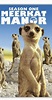 Meerkat Manor (TV Series 2005–2008) - IMDb