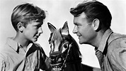 The Rocking Horse Winner (1949) - Backdrops — The Movie Database (TMDB)