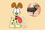 Las razas de perros más famosas de las caricaturas