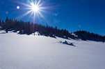Schneeparadies Foto & Bild | jahreszeiten, winter, wald Bilder auf ...