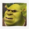 26 Shrek Ideas Shrek Shrek Memes Stupid Memes - Vrogue