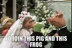 YARN | to join this pig and this frog | The Muppet Show (1976) - S03E10 ...