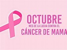 Octubre rosa: el mes para educar y concientizar contra el cáncer de mama