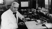 11. März 1955 - Penicillin-Entdecker Sir Alexander Fleming stirbt ...