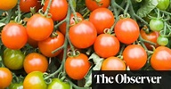 The five: genetically modified fruit | Gene editing | The Guardian