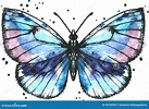 Vector Blue Butterfly In Watercolor Stock Vector - Image: 48750990