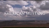 AMERICAN MUSTANG the movie! A VOICE for the Mustangs... - Horse and Man