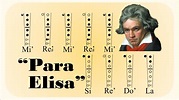 COMO TOCAR Para Elisa de Beethoven en Flauta Dulce 🎶 Tutorial con Notas ...
