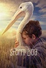 Storm Boy (2019) - Posters — The Movie Database (TMDB)