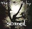 Scared (The Tragically Hip song) - Wikipedia