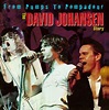 David Johansen – From Pumps To Pompadour: The David Johansen Story ...