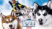 Snow Dogs: Acht Helden auf vier Pfoten | Apple TV