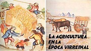 La agricultura en la época virreinal [HISTORIA-CUARTO GRADO] - YouTube