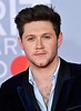 Niall Horan Net Worth 2020, Bio, Age, Height & Wiki - Celebnetworth.net