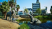 La Brea Tar Pits: Fossils site in Los Angeles to get a makeover