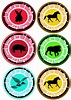 Pin on DISCO DE PODER ANIMAL IRMÃOS KRATTS