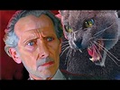 A Maldição dos Gatos (1977), com Peter Cushing e Ray Milland - Terror ...