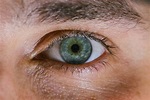 ¿Qué función tiene el blanco de los ojos? - Revista Mètode