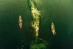 Fotos: moby dick: En el pueblo de las ballenas | EL PAÍS Semanal