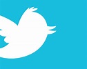 Twitter : New Twitter Bird Logo : Twitter is an american microblogging ...