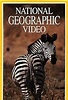 Zebras: Patterns in the Grass (1991) - IMDb