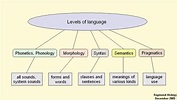5. Levels of Language Structure and their Language and Speech Units.