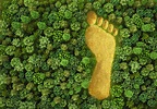 New PBS documentary explores humanity’s footprint on nature • Earth.com