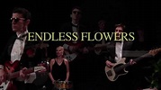 Crocodiles - 'Endless Flowers' (Infomercial Teaser) - YouTube