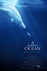 A Plastic Ocean - Documentaire (2016) - SensCritique