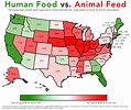 2 Simple Maps That Reveal How American Agriculture Actually Works - 24 Flix