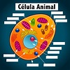 La Célula Animal - Información y Características