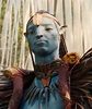 tarsem icon in 2023 | Avatar characters, Avatar movie, Blue avatar