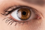 Behind these Hazel Eyes - Adelaide City Optometrist