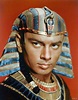 Yul Brynner for "The Ten Commandments" (1956) Old Hollywood Stars ...