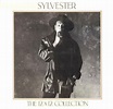 Sylvester - The 12 X 12 Collection (1988, Vinyl) | Discogs