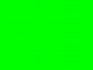 Grün (Farbe) - lebendige Kraft