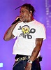 Travis Scott from 2019 Something in the Water Festival: Star Sightings ...