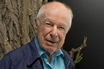 Peter Brook, A Famous British Theatre And Movie Director, Has Died At ...