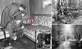 蘇聯特情局1945年5月5日在柏林找到希特勒屍體?Adolf Hitler fakes death? - Red Square 123的部落格 ...