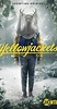 Yellowjackets (TV Series 2021– ) - Full Cast & Crew - IMDb