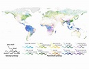 30 Rivers Of The World Map - Maps Online For You