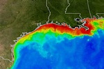 Scientists forecast larger Gulf of Mexico ‘dead zone’ for summer 2020 ...