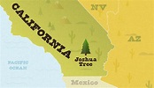 Guía para el Parque Nacional Joshua Tree