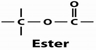 What are Esters? - QS Study